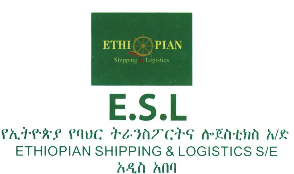 How to Import Chinese EVs to Ethiopia Guide