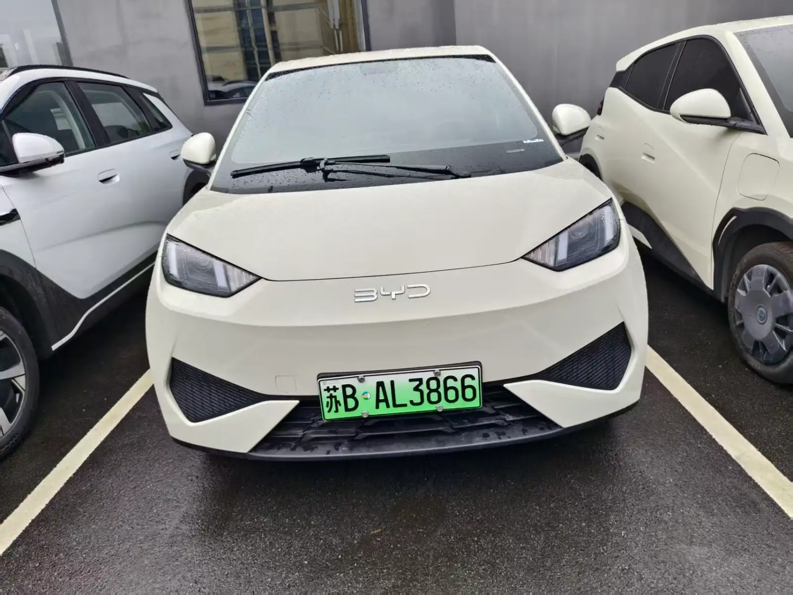 BYD SEAGULL 305km Vitality - 2