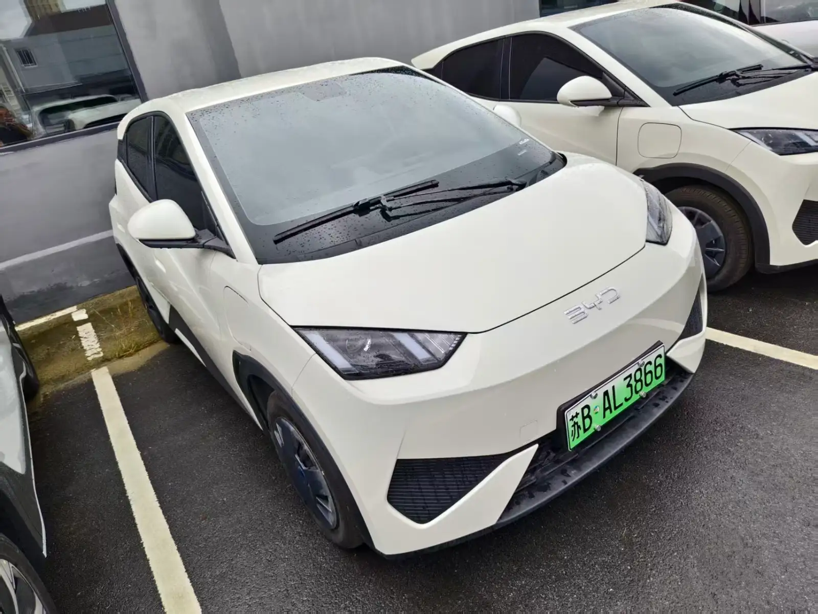 BYD SEAGULL 305km Vitality