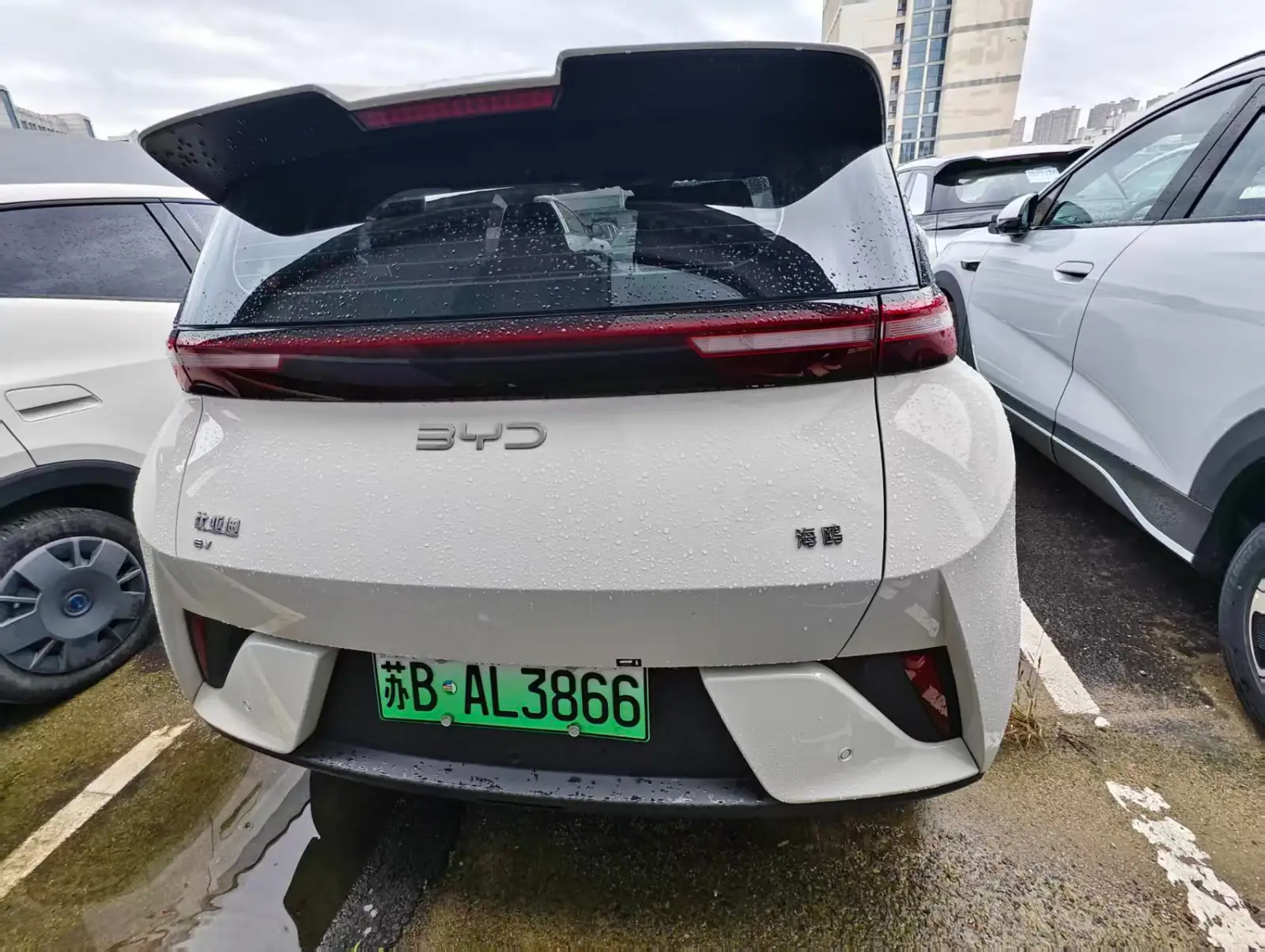 BYD SEAGULL 305km Vitality - 3