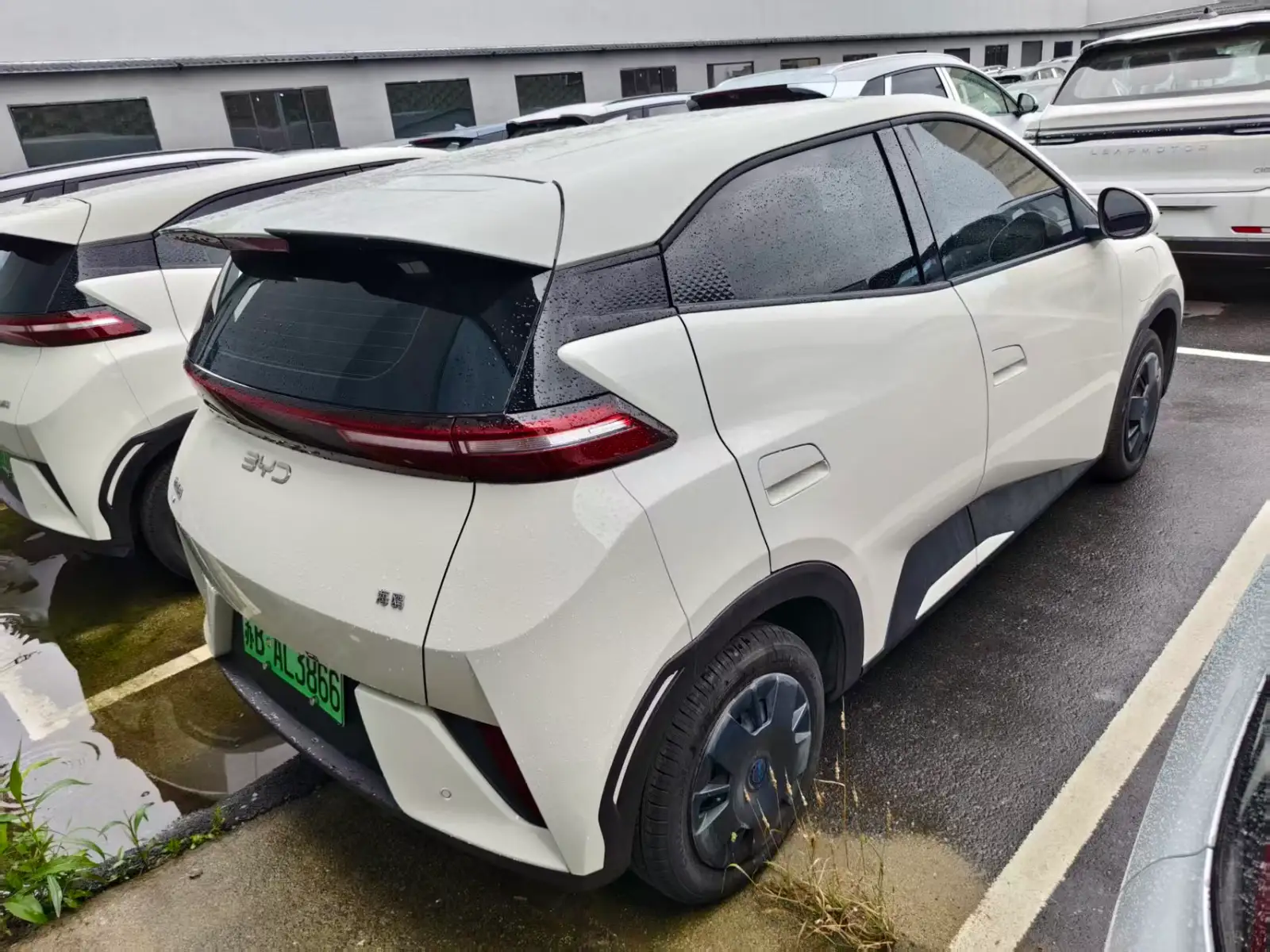 BYD SEAGULL 305km Vitality - 4