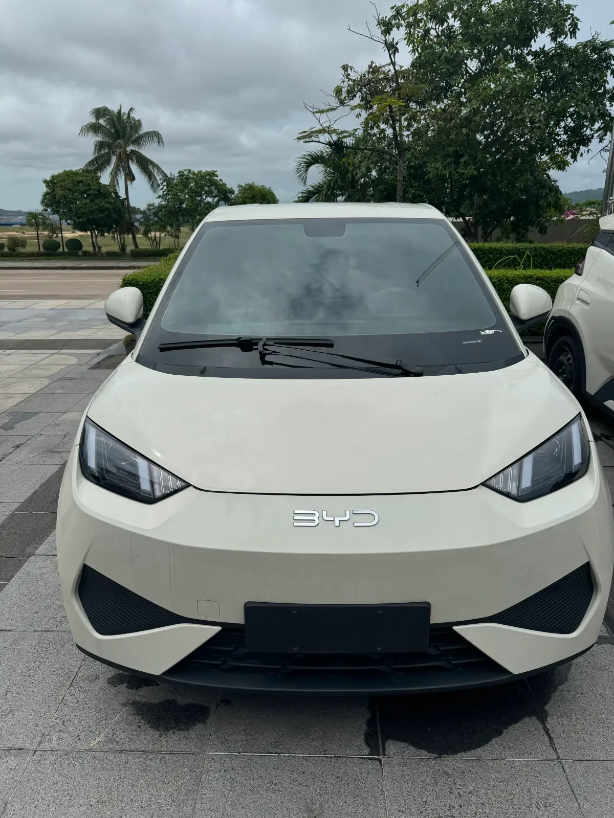 BYD Seagull 305km Vitality