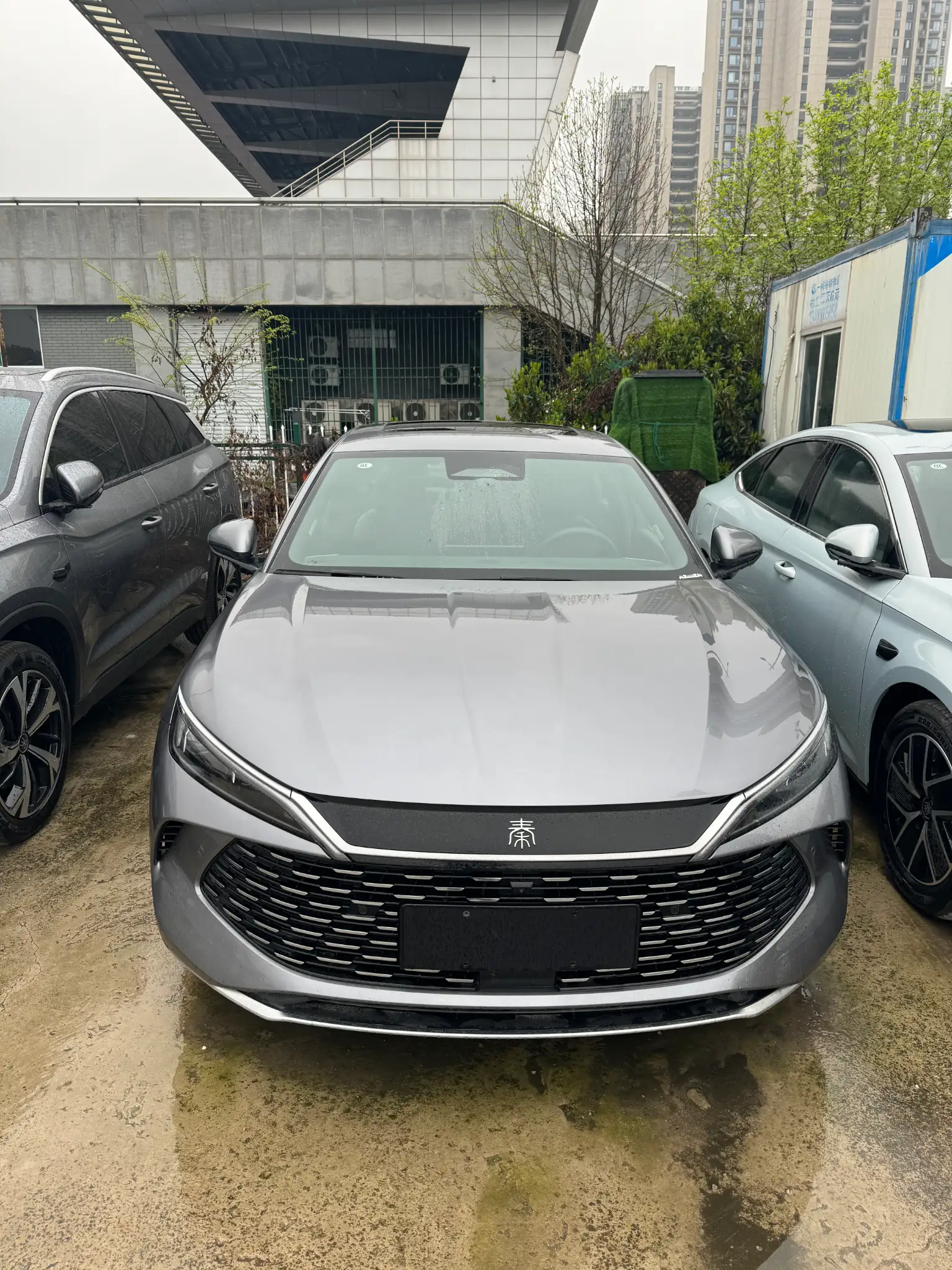 BYD QinL DMi 80KM Beyond