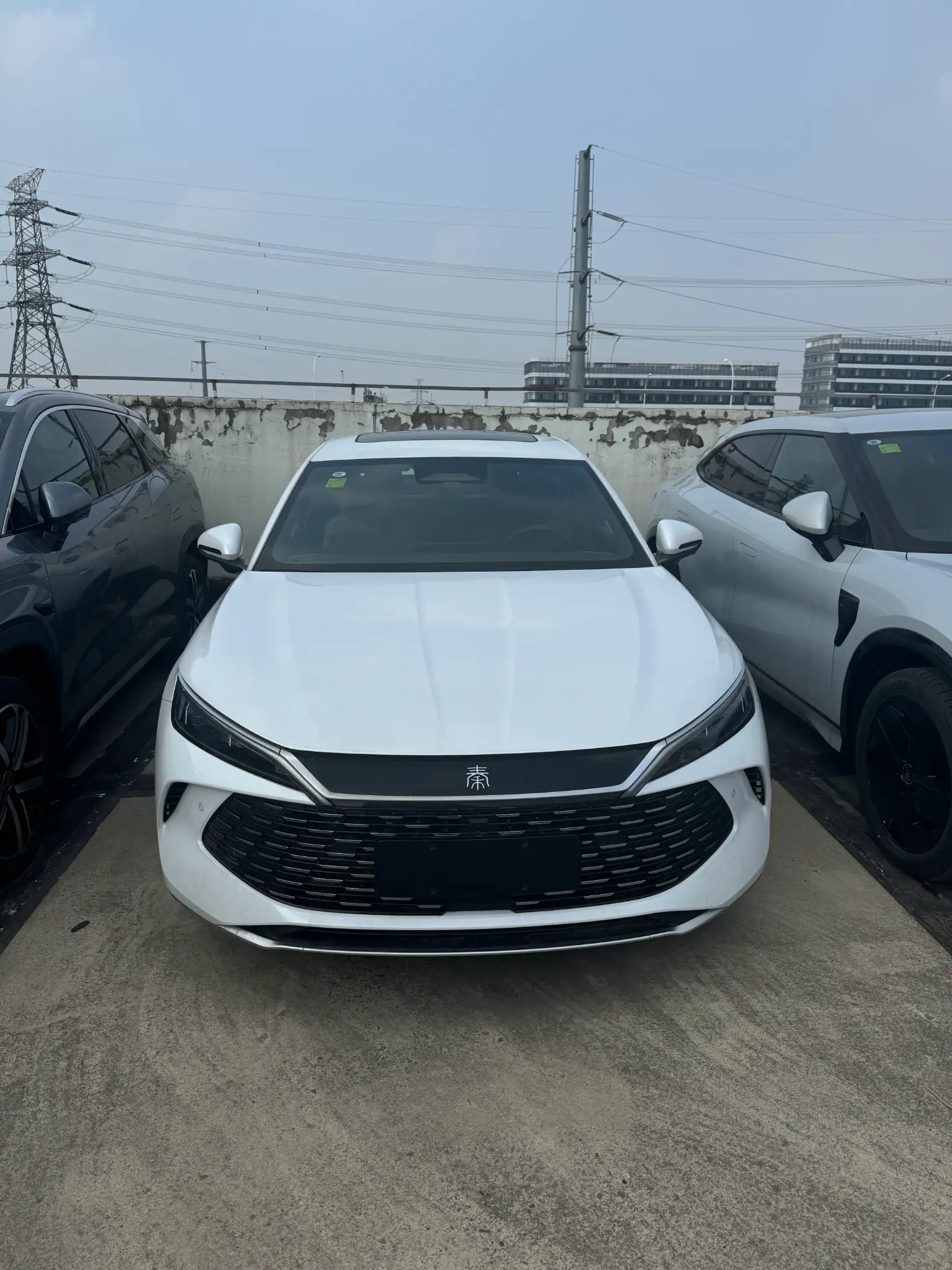 BYD QinL DMi 80KM Beyond
