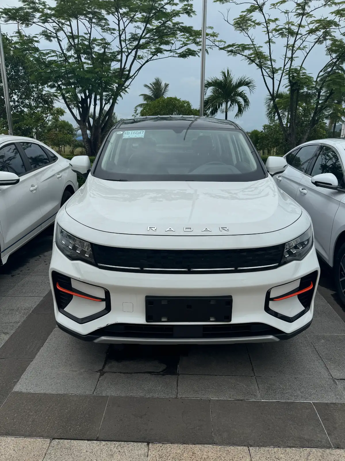 Pure Electric Radar RD6 2022