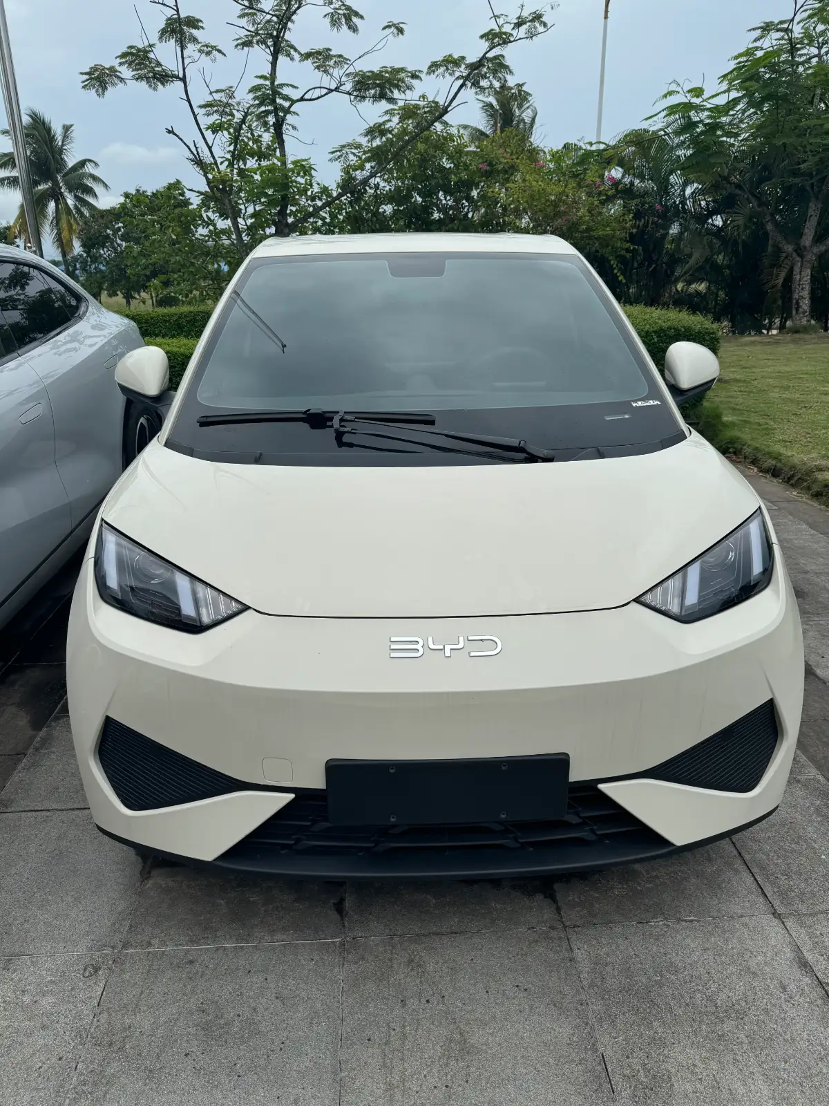 BYD Seagull 305km Vitality