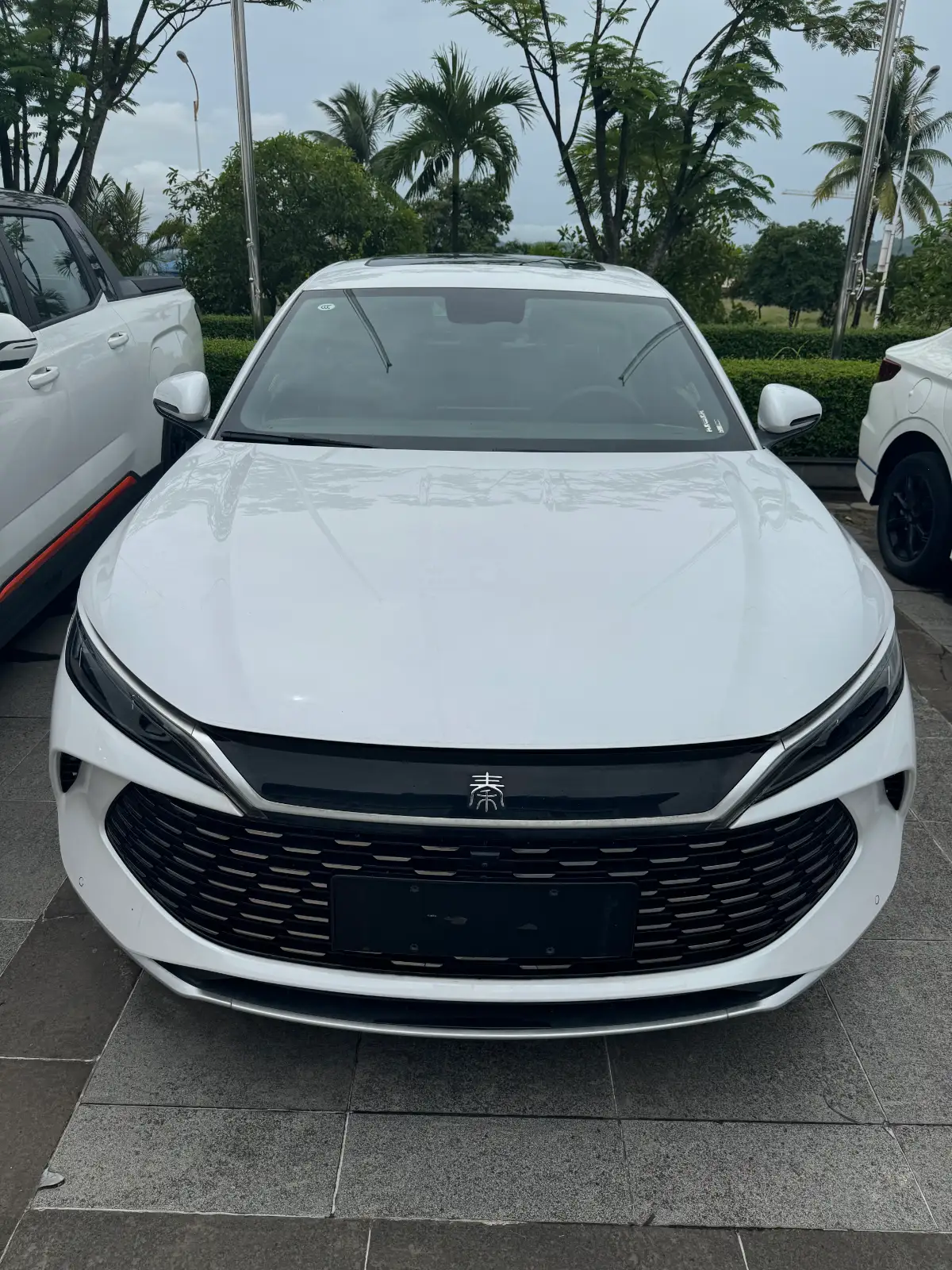 Qin L DM-i 120KM Leading Model 2024