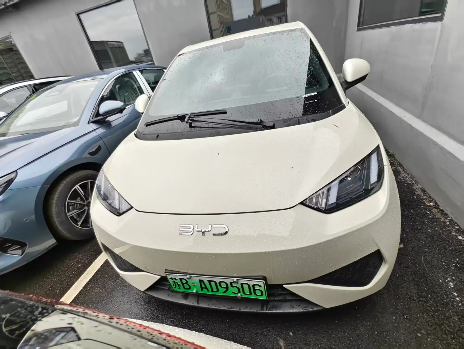 BYD SEAGULL 305km Vitality