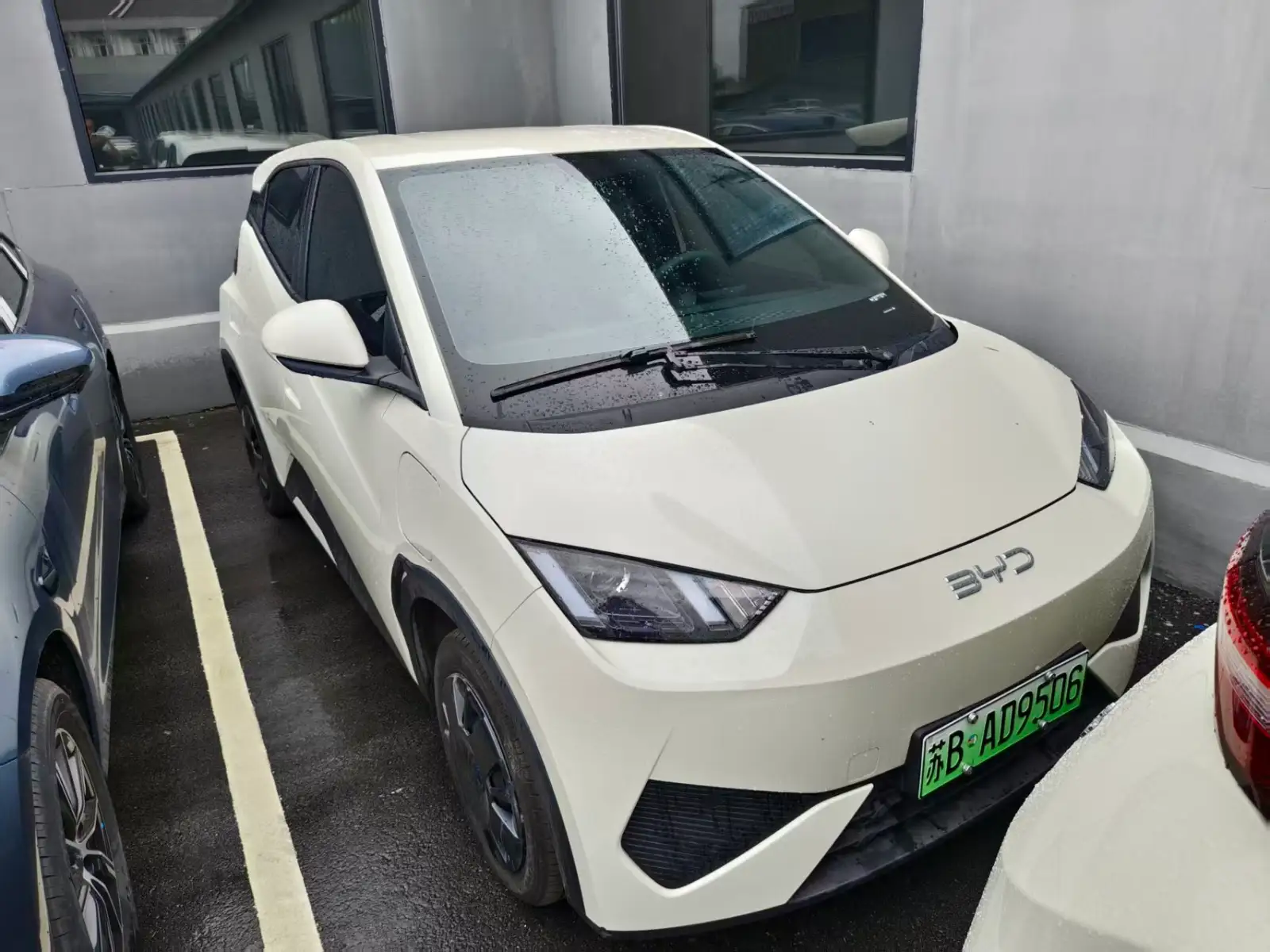 BYD SEAGULL 305km Vitality - 2