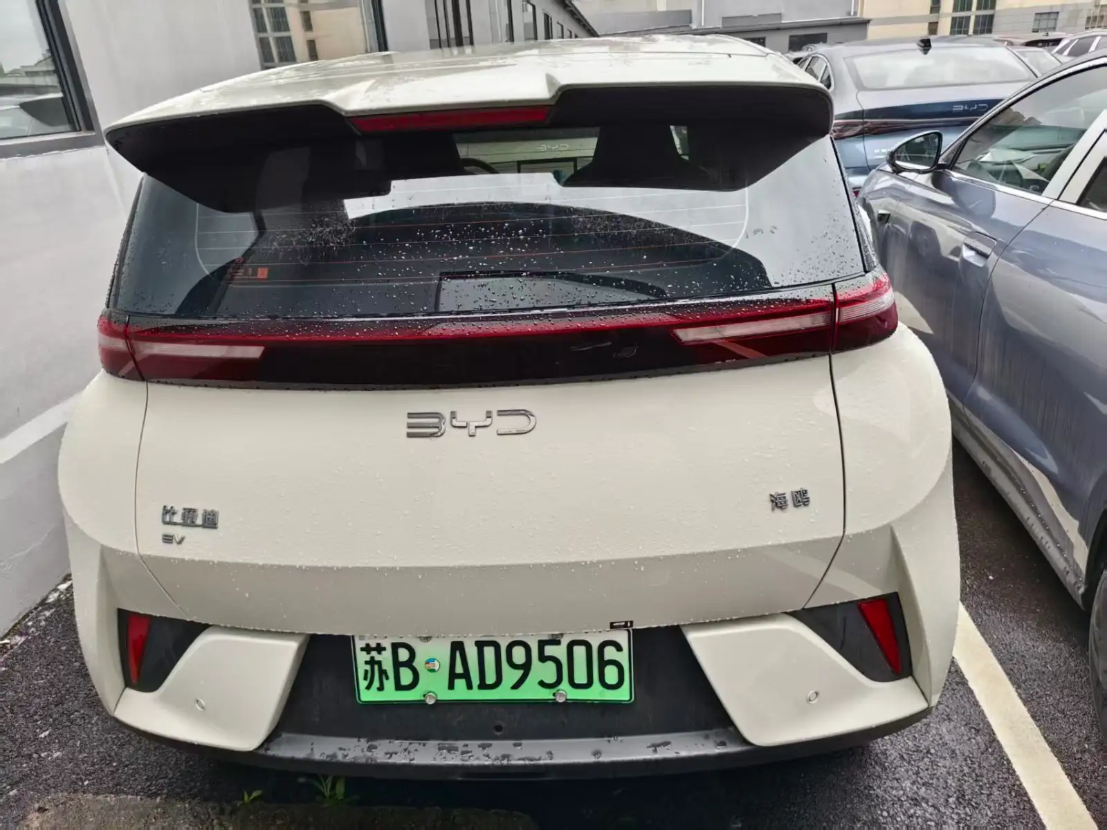 BYD SEAGULL 305km Vitality - 4