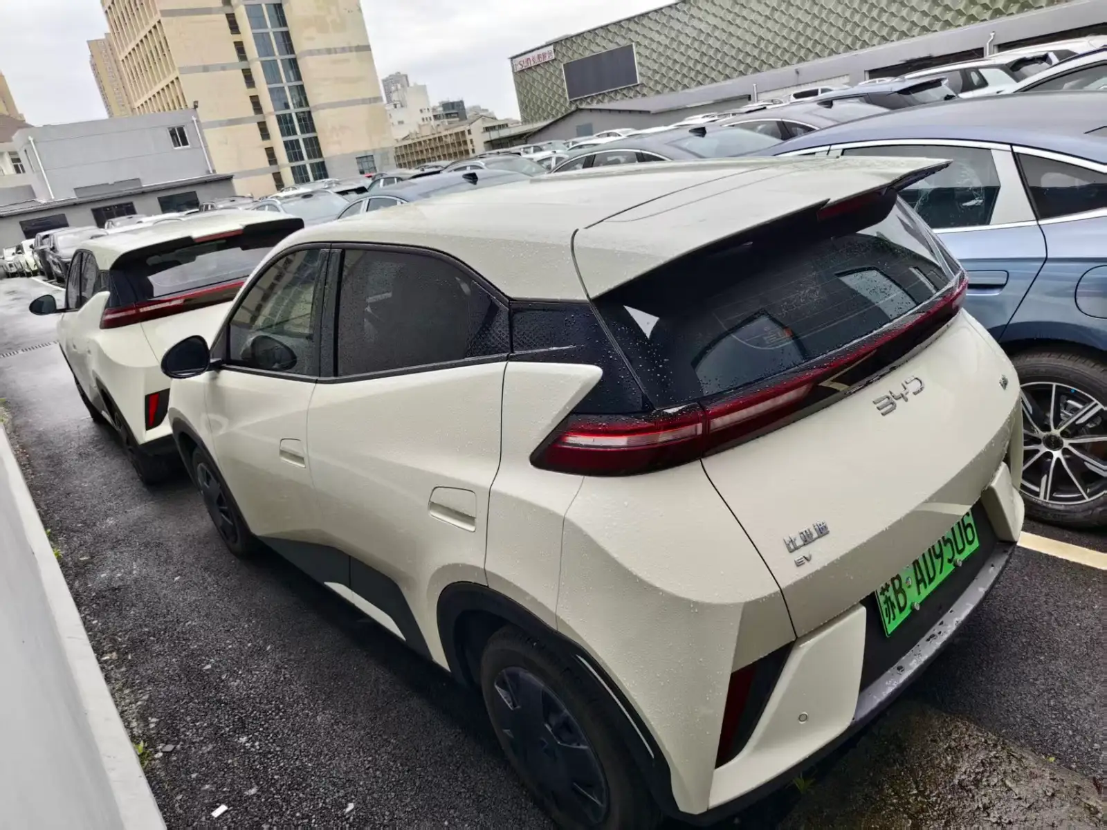 BYD SEAGULL 305km Vitality - 3