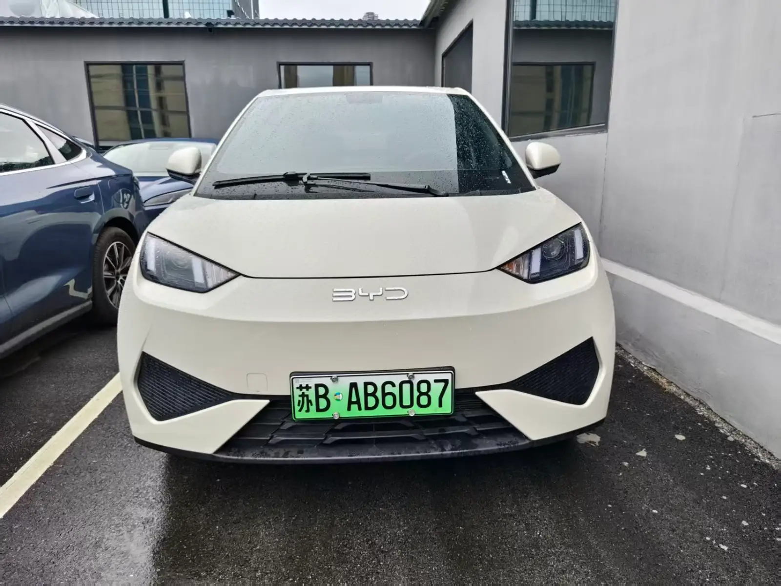 BYD SEAGULL 305km Vitality