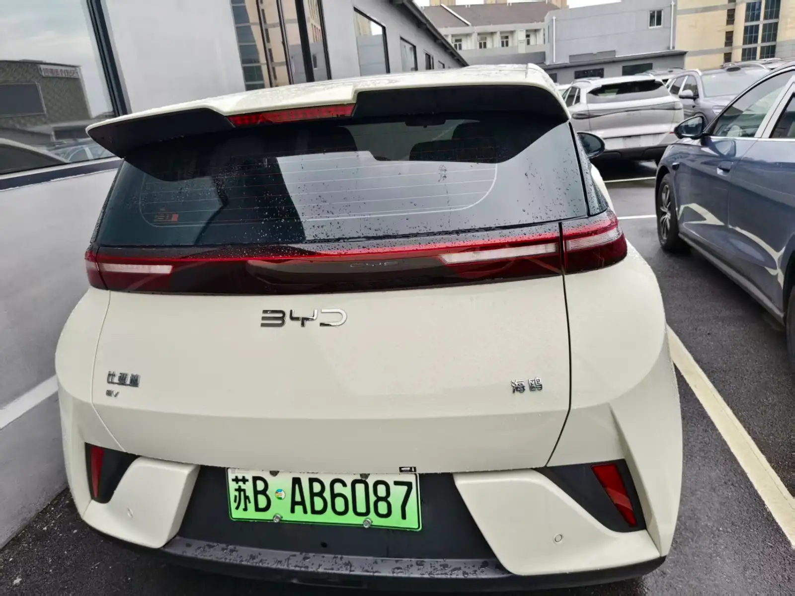 BYD SEAGULL 305km Vitality - 3