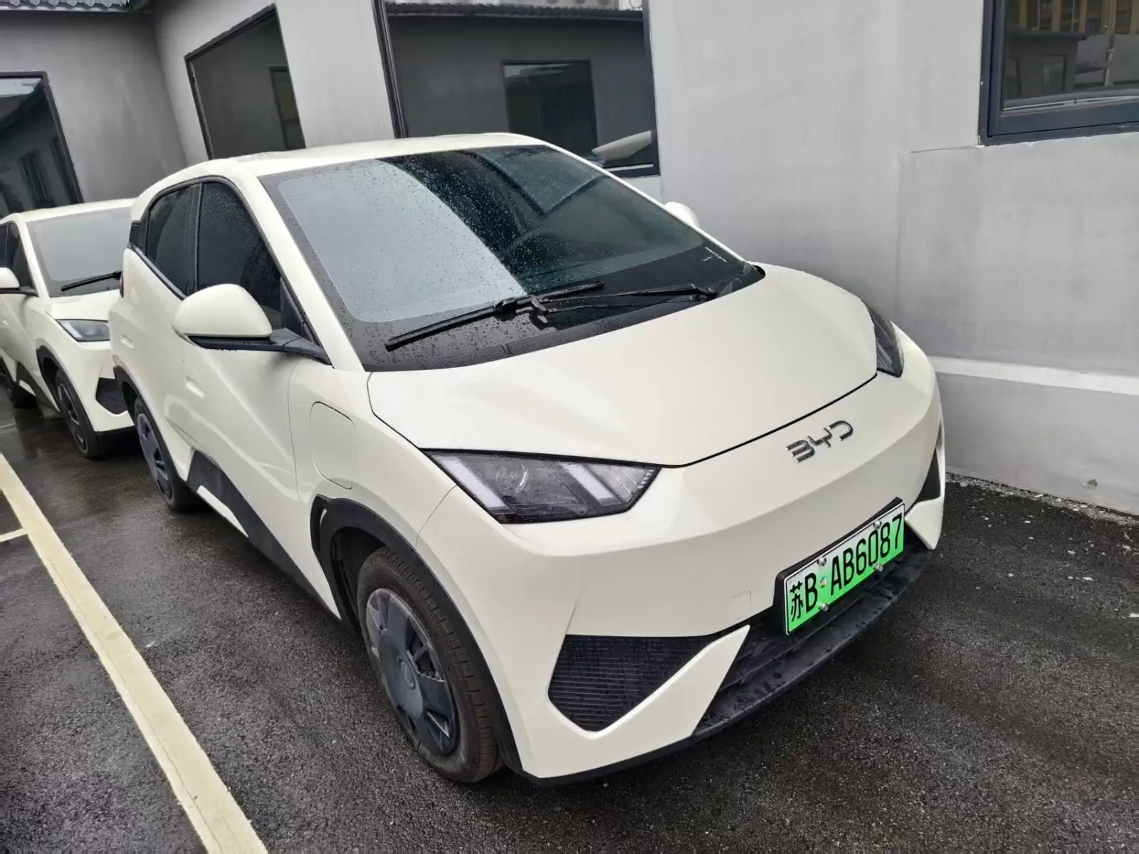 BYD SEAGULL 305km Vitality - 4