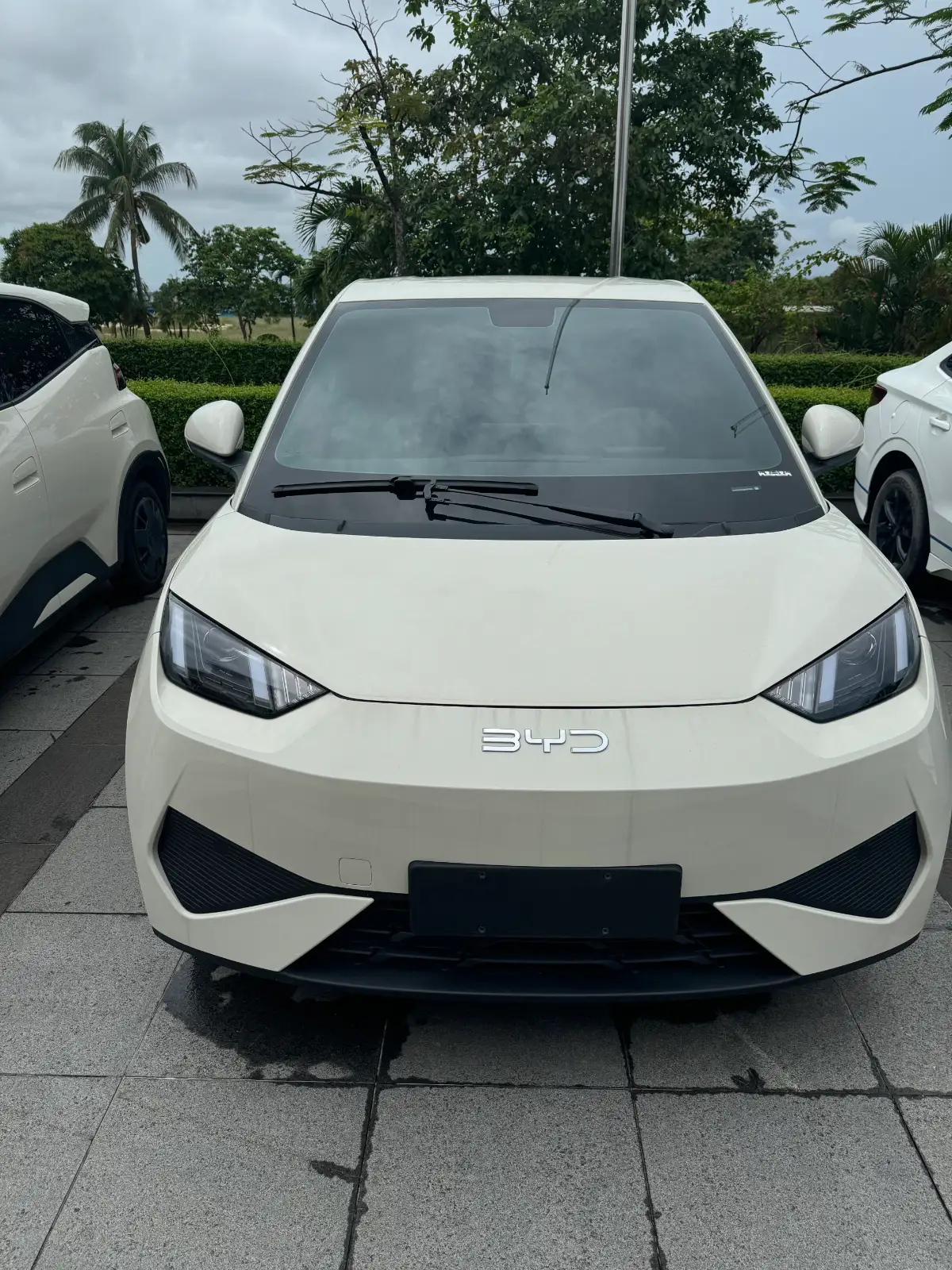 BYD Seagull 305km Vitality