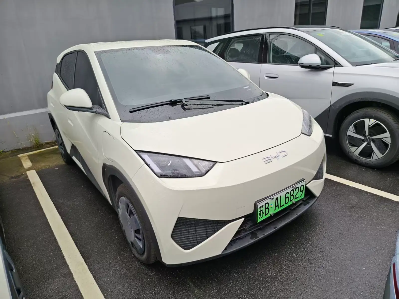 BYD SEAGULL 305km Vitality