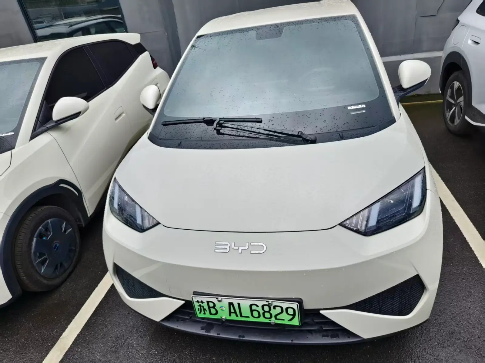 BYD SEAGULL 305km Vitality - 2