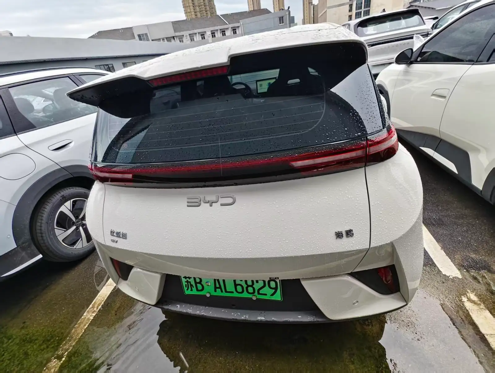 BYD SEAGULL 305km Vitality - 3