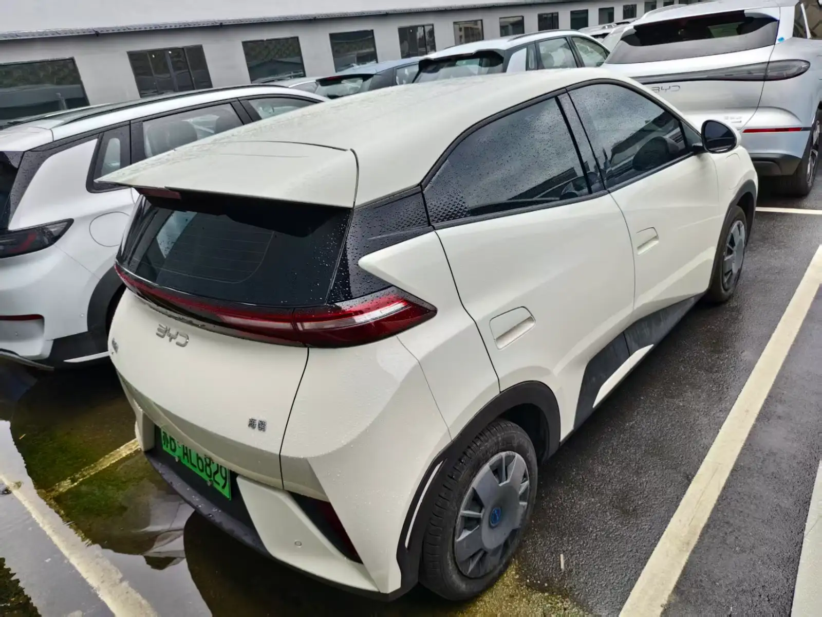 BYD SEAGULL 305km Vitality - 4
