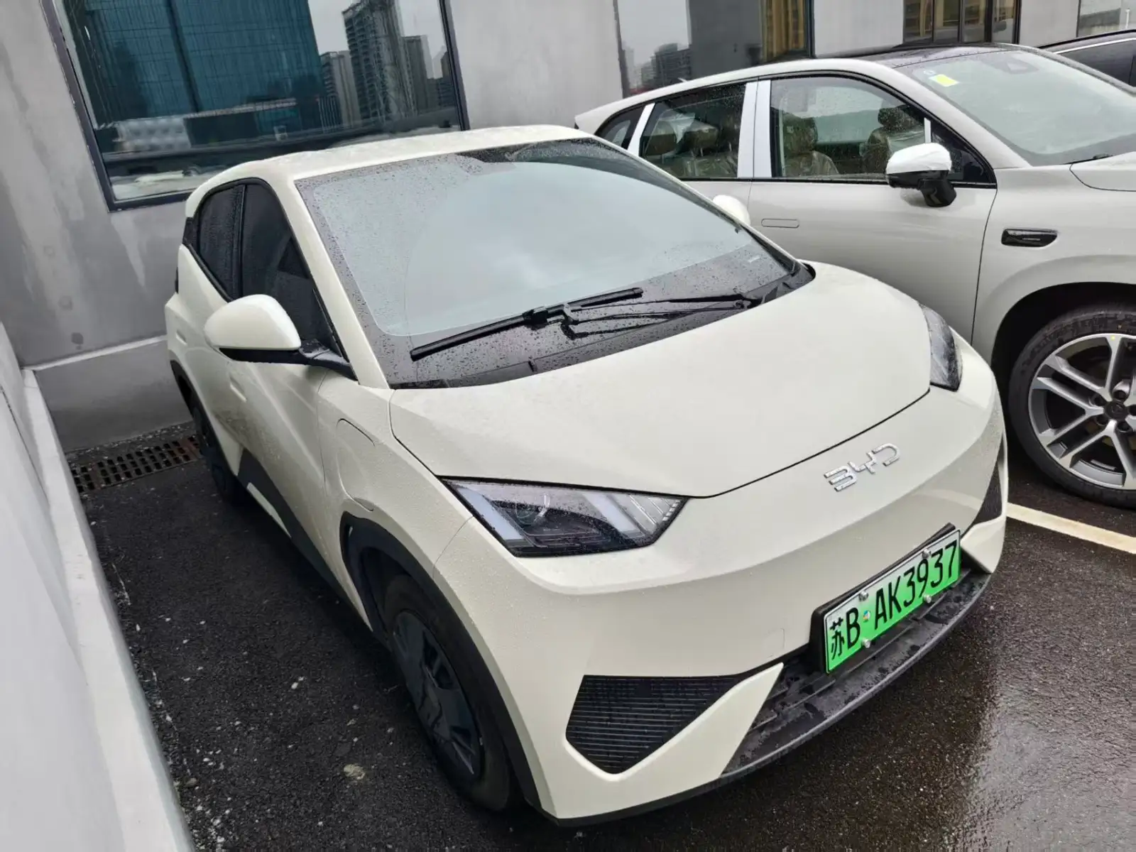 BYD SEAGULL 305km Vitality - 3