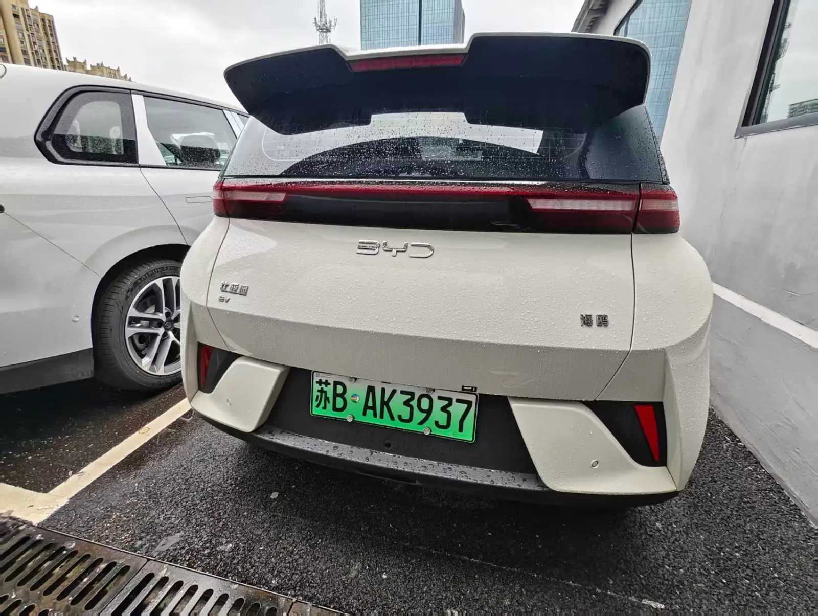 BYD SEAGULL 305km Vitality - 2