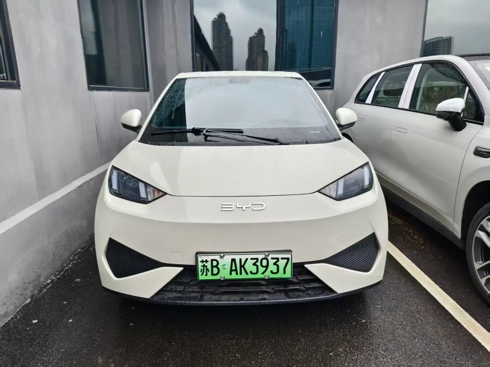 BYD SEAGULL 305km Vitality