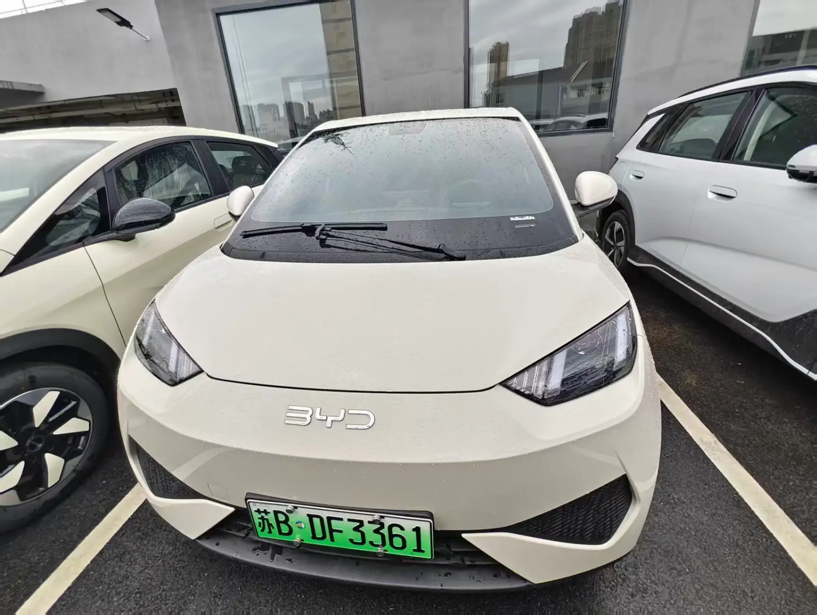 BYD SEAGULL 305km Vitality - 2