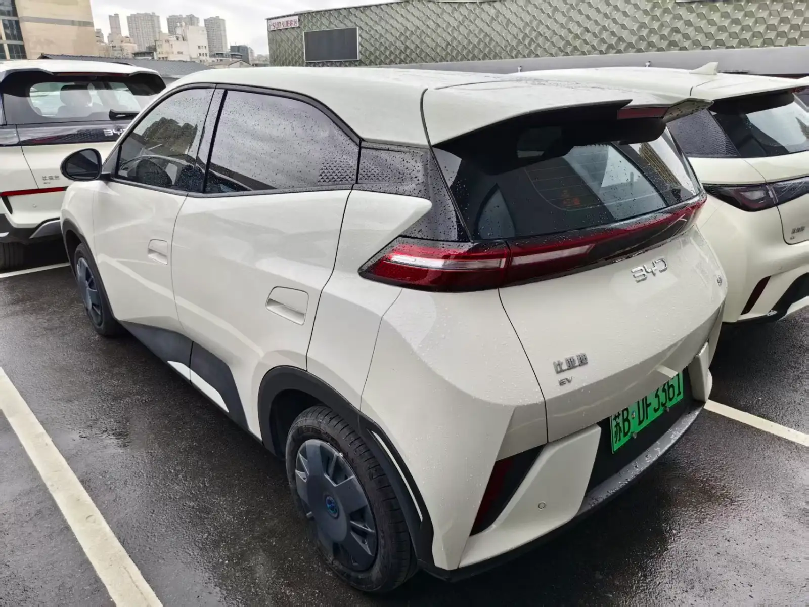 BYD SEAGULL 305km Vitality - 3