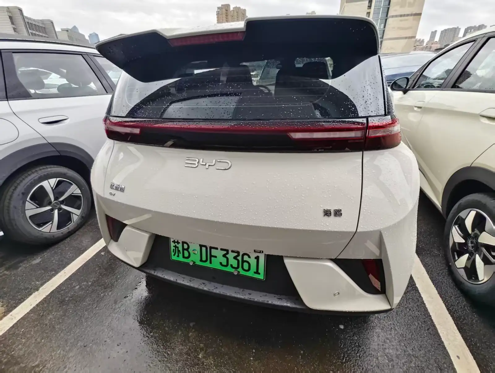 BYD SEAGULL 305km Vitality - 4