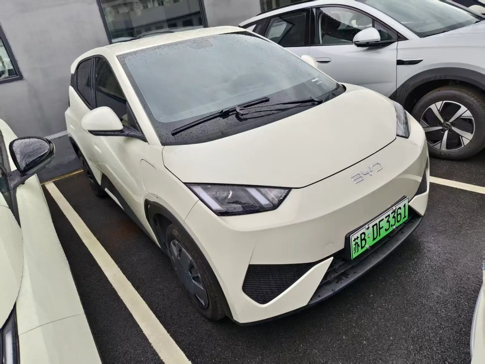 BYD SEAGULL 305km Vitality